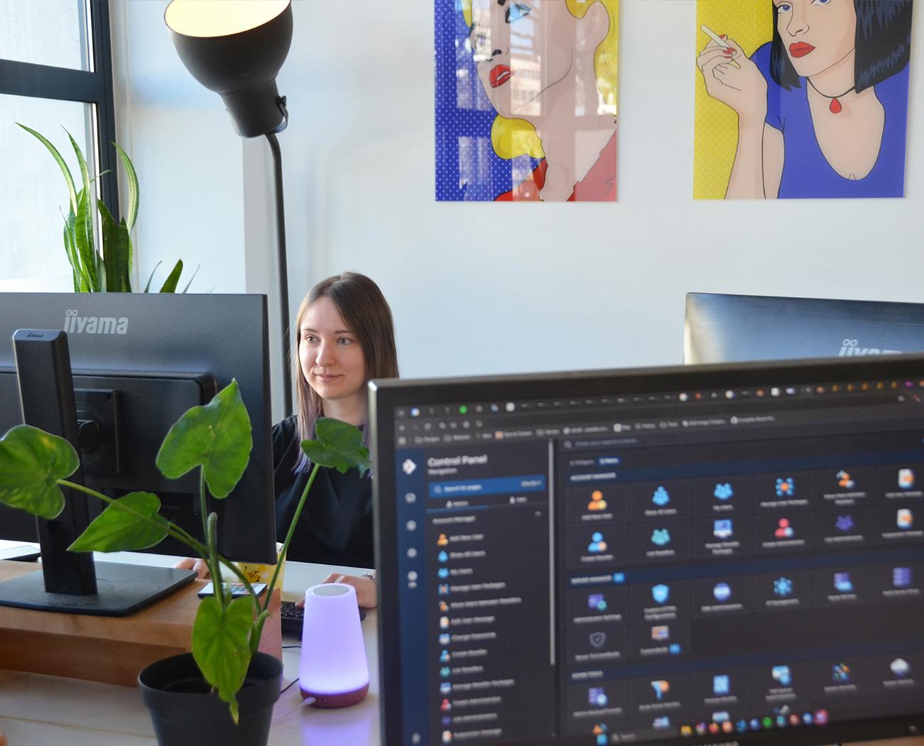 Webshop maken | het plan presenteren